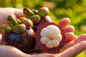Mangosteen Price in Kerala Today: Local vs. Imported Guide