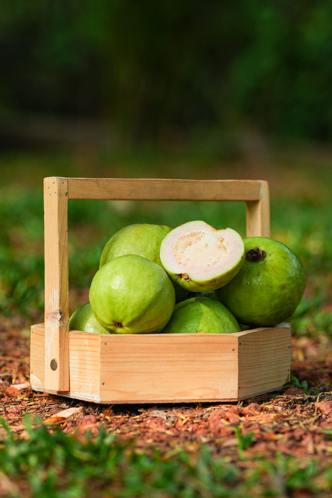 Guava Thailand (1KG )