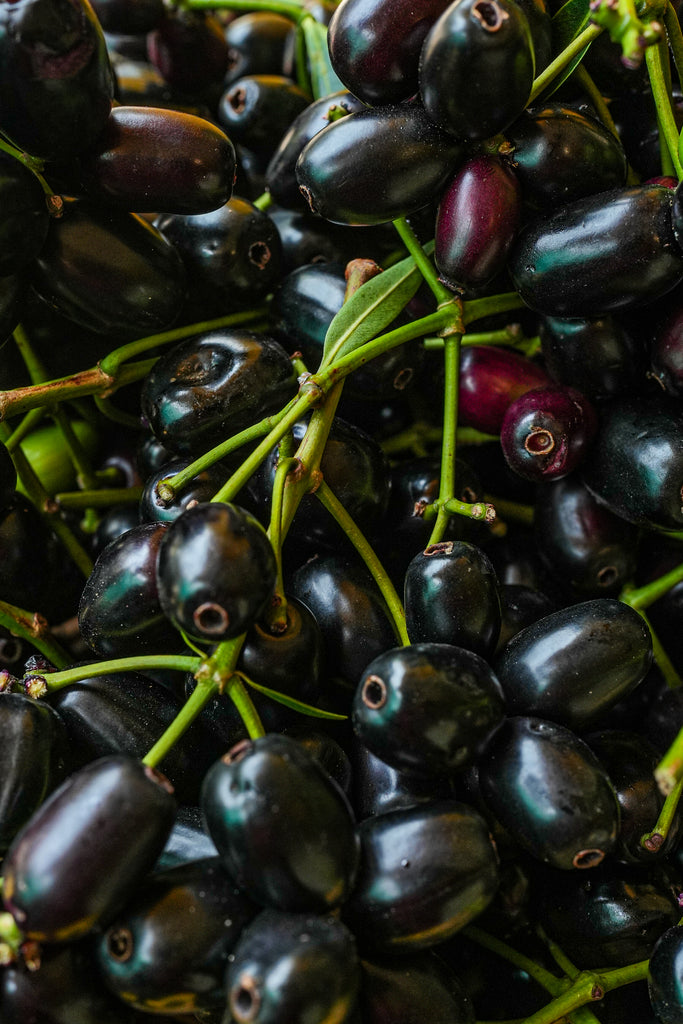 Jamun (500 G)