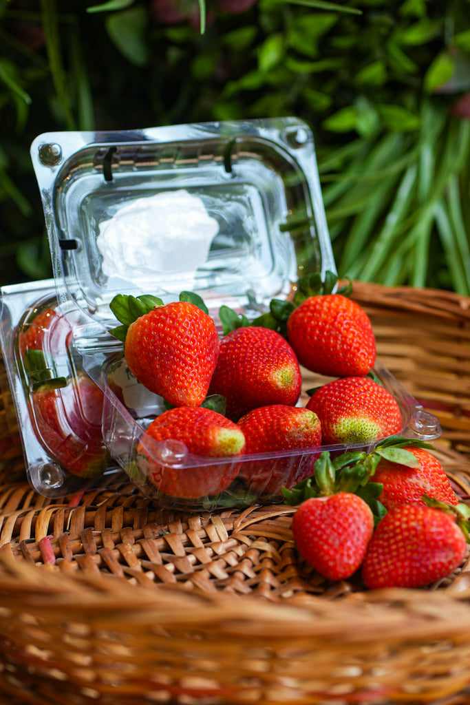 Strawberry Spl (1 BOX)