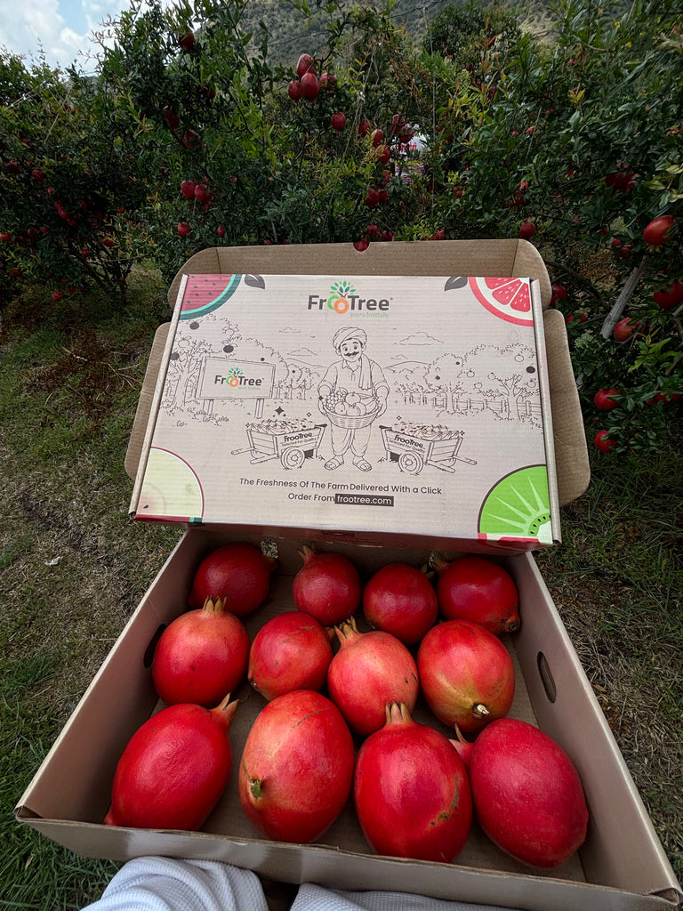 A-GRADE ANAR | BOX OF 12  4.5kg