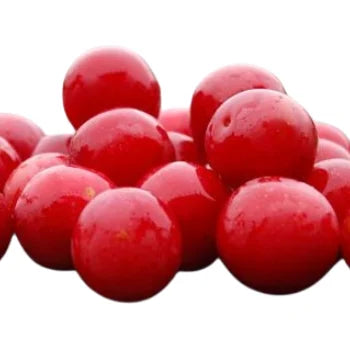 Plum Red Indian (500 G)