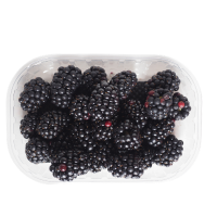Blackberry (1box)
