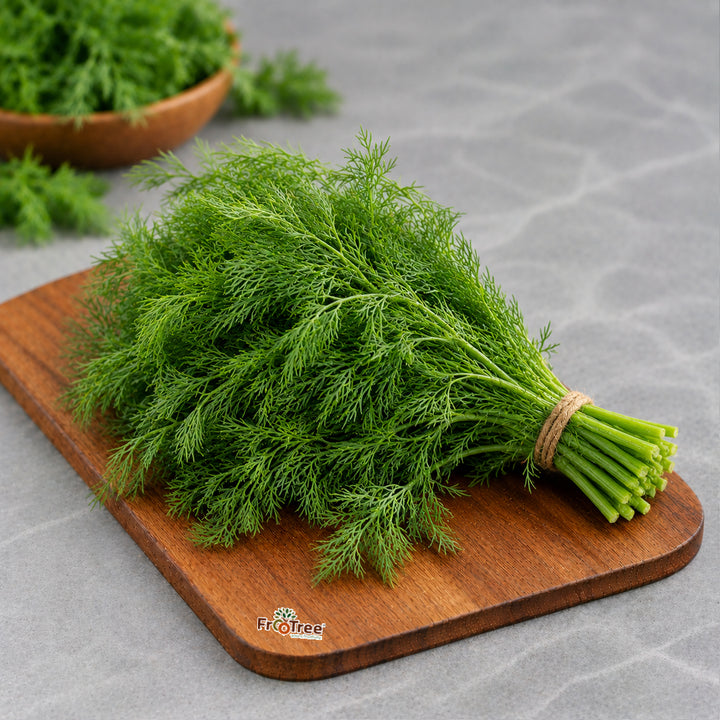 Dill Leaves (500 G)
