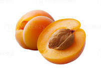 Apricot fruit