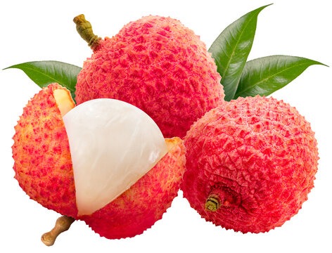 Lychee Fruit (500)