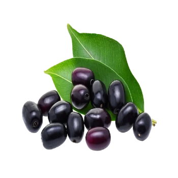 Jamun (500 G)