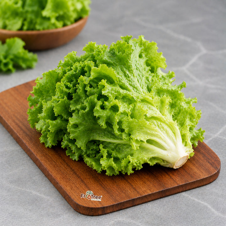 Lettuce Green (500 G)
