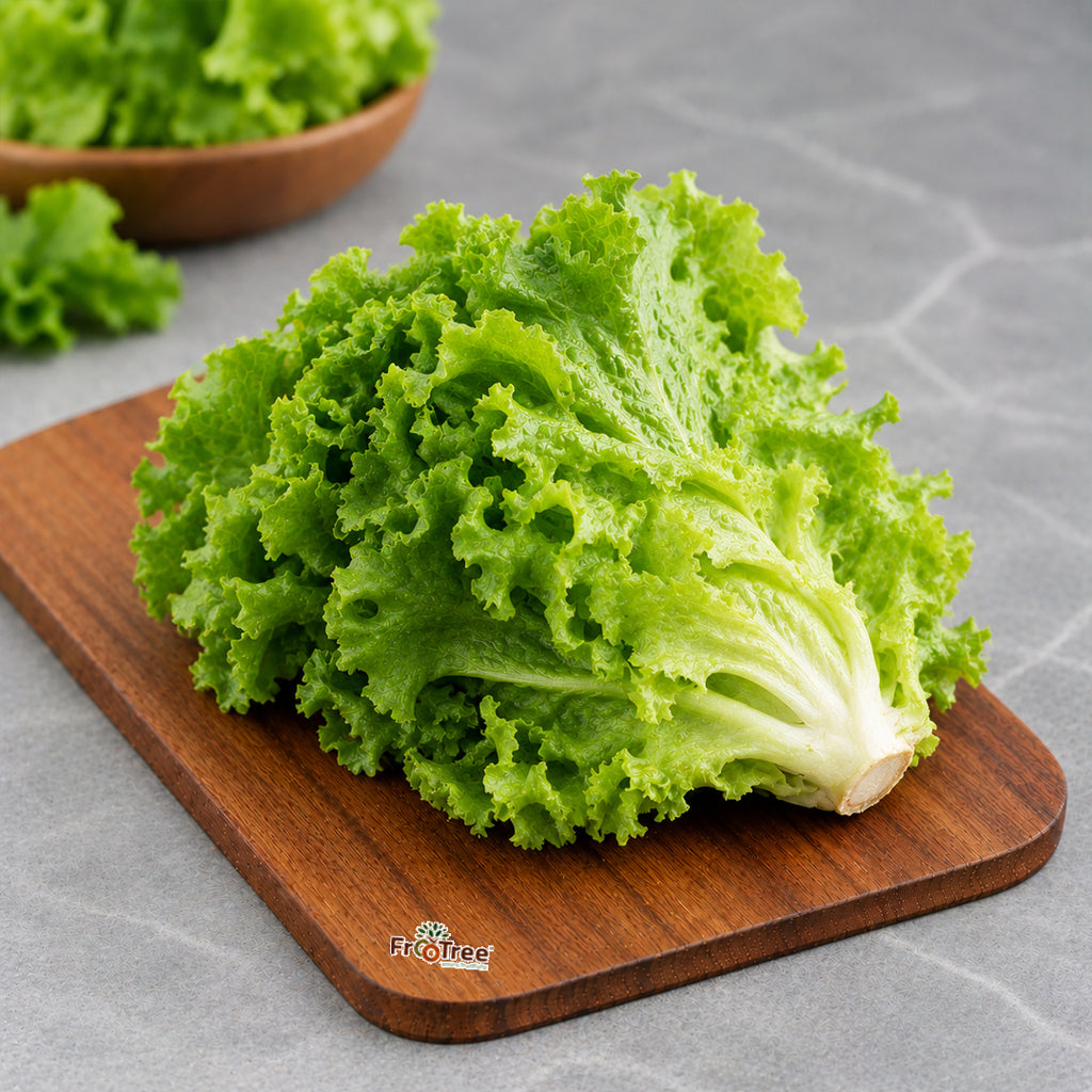 Lettuce Green (500 G)