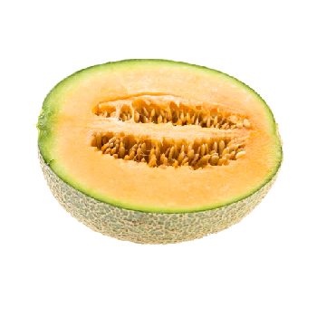 Musk Melon Line (500 G)