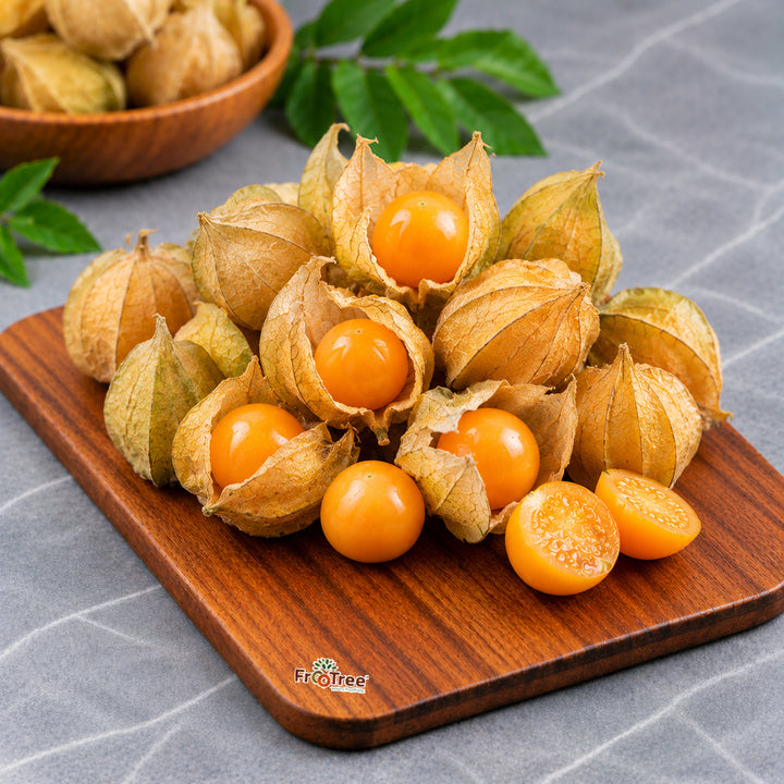 Physalis (1 BOX)